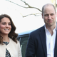 Illustration for article titled Psychic banana predicted the gender of the new royal baby